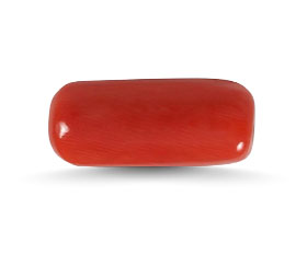 RED CORAL (CYLINDRICAL)
